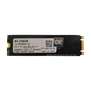 حافظه SSD فدک مدل FDK B5 M.2 2280 256GB