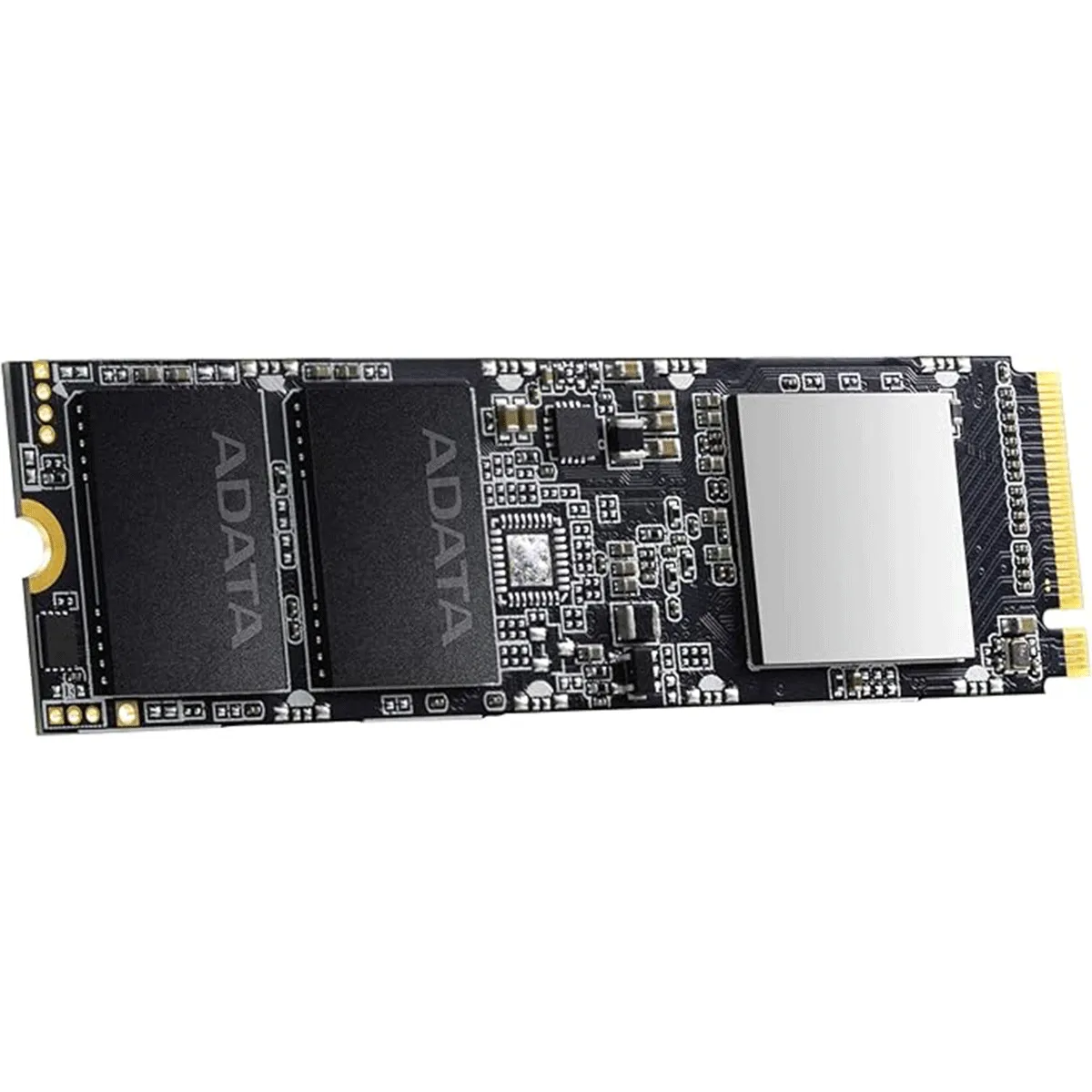 حافظه SSD ایکس پی جی مدل XPG SX8100 M.2 2280 NVMe 1TB