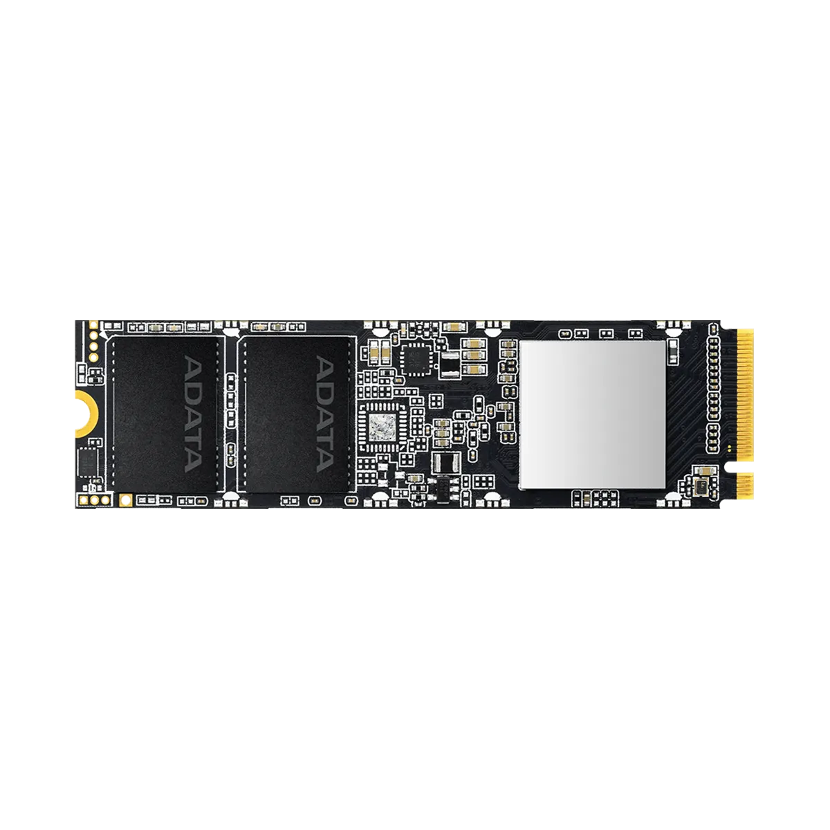 حافظه SSD ایکس پی جی مدل XPG SX8100 M.2 2280 NVMe 1TB